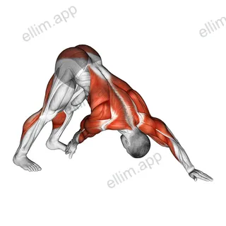 Downward Facing Dog Toe Touch exercise targeting Back and Hips