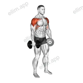 Dumbbell 4 Ways Lateral Raise exercise targeting Shoulders