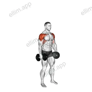 Dumbbell 6 Ways Raise exercise targeting Shoulders