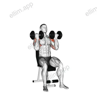 Dumbbell Alternate Arnold Press exercise targeting Shoulders