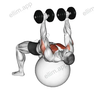 Dumbbell Alternate Chest Press on Stability Ball exercise targeting Chest