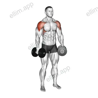 Dumbbell Alternate Lateral Raise exercise targeting Shoulders