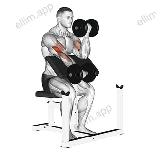 Dumbbell Alternate Preacher Curl exercise targeting Upper Arms