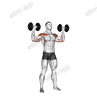 Dumbbell Alternate Shoulder Press exercise targeting Shoulders and Deltoid Anterior