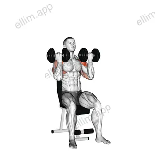 Dumbbell Arnold Press exercise targeting Shoulders and Deltoid Anterior