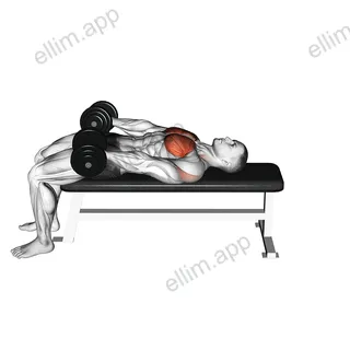 Dumbbell Around Pullover exercise targeting Chest and Pectoralis Major Sternal Head