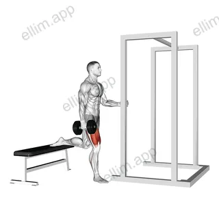 Dumbbell Assisted Bulgarian Split Squat exercise targeting Thighs