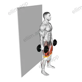 Dumbbell Banded Wall Sit exercise targeting Thighs
