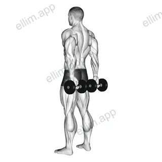 Dumbbell Behind Back Finger Curl exercise targeting Forearms and Wrist Flexors