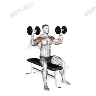 Dumbbell Bench Seated Press exercise targeting Shoulders and Deltoid Anterior