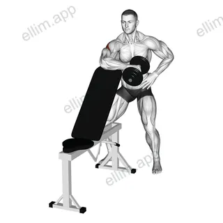 Dumbbell Bench Supported External Rotation exercise targeting Back and Teres Major