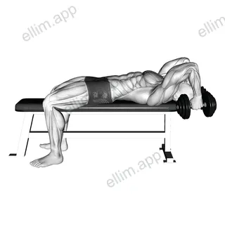 Dumbbell Bent Arm Pullover Hold exercise targeting Chest