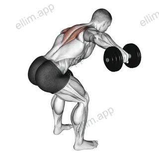 Dumbbell Bent Over Alternate Rear Delt Fly exercise targeting Shoulders and Deltoid Posterior