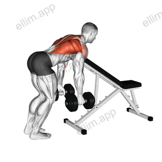 Dumbbell Bent Over Row with Chest Support exercise targeting Back