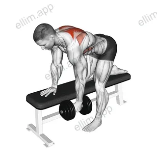 Dumbbell Bent-Over Scapula Row exercise targeting Back and Trapezius Lower Fibers