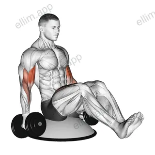 Dumbbell Biceps Curl V Sit on Bosu Ball exercise targeting Upper Arms