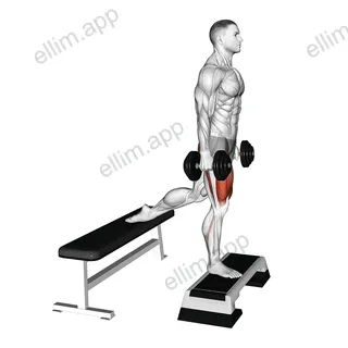Dumbbell Bulgarian Split Squat from Deficit exercise targeting Thighs