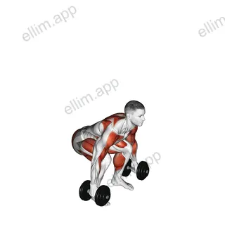 Dumbbell Clean exercise targeting Thighs and Deltoid Anterior