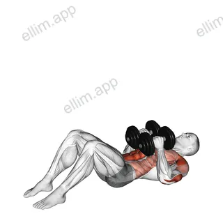Dumbbell Close Grip Shoulder Press Sit-up exercise targeting Waist