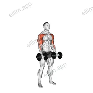 Dumbbell Curl Press Extension exercise targeting Upper Arms