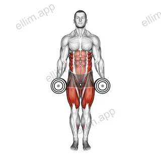 Dumbbell Curtsey Lunge exercise targeting Thighs