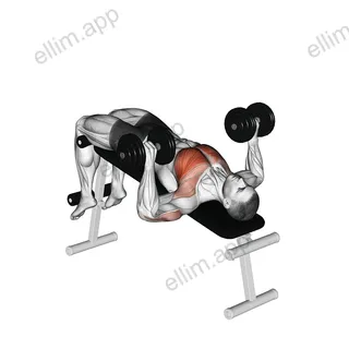 Dumbbell Decline Bench Press exercise targeting Chest and Pectoralis Major Sternal Head