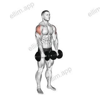 Dumbbell Empty Can Exercise exercise targeting Shoulders