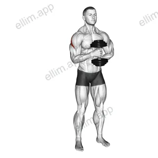 Dumbbell External Rotation exercise targeting Back and Teres Major