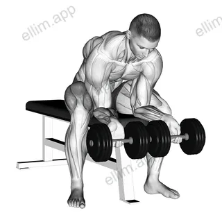 Dumbbell finger curls exercise targeting Forearms