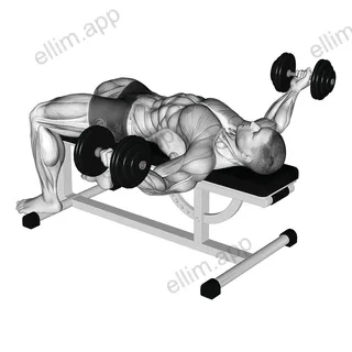 Dumbbell Flat Flye Hold exercise targeting Chest