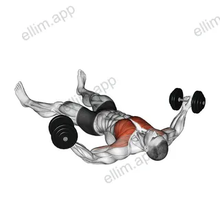 Dumbbell Floor Fly exercise targeting Chest and Pectoralis Major Clavicular Head