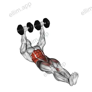 Dumbbell Floor Wiper exercise targeting Waist