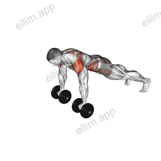 Dumbbell Front Plank Arm Raise exercise targeting Waist