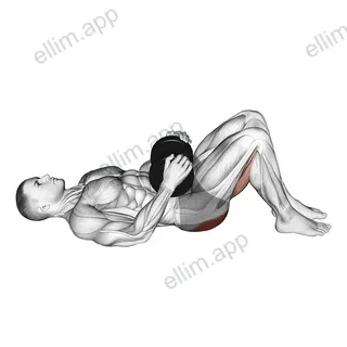 Dumbbell Glute Bridge exercise targeting Hips and Gluteus Maximus