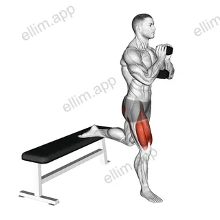 Dumbbell Goblet Bulgarian Split Squat exercise targeting Thighs