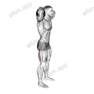 Dumbbell Good Morning exercise targeting Hips