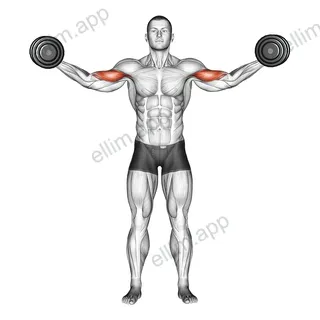 Dumbbell High Curl exercise targeting Upper Arms