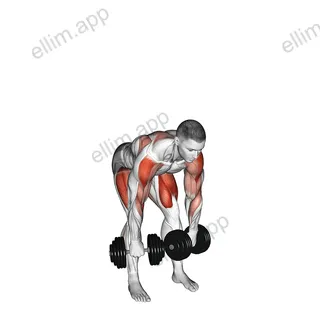 Dumbbell High Pull exercise targeting Weightlifting