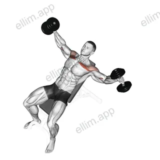 Dumbbell Incline Breeding exercise targeting Chest and Pectoralis Major Clavicular Head