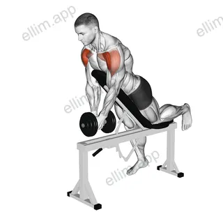 Dumbbell Incline Front Raise with Chest Support exercise targeting Shoulders and Deltoid Anterior