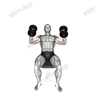 Dumbbell Incline Hammer Press exercise targeting Chest and Pectoralis Major Clavicular Head