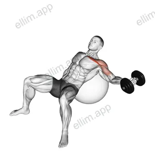 Dumbbell Incline One Arm Fly on Exercise Ball exercise targeting Chest and Pectoralis Major Clavicular Head