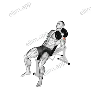 Dumbbell Incline One Arm Hammer Press exercise targeting Upper Arms