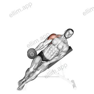 Dumbbell Incline One Arm Lateral Raise exercise targeting Shoulders and Deltoid Lateral