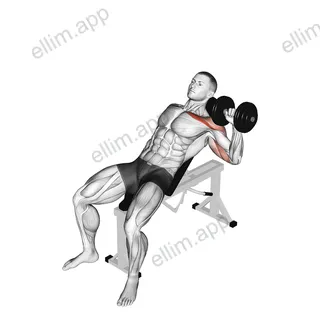 Dumbbell Incline One Arm Press exercise targeting Chest and Pectoralis Major Clavicular Head