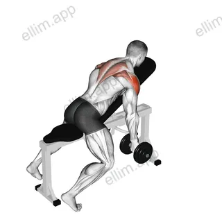 Dumbbell Incline T-Raise exercise targeting Shoulders and Deltoid Posterior