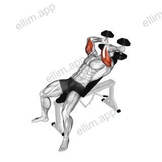 Dumbbell Incline Triceps Extension exercise targeting Upper Arms and Triceps Brachii