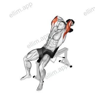 Dumbbell Incline Two Arm Extension exercise targeting Upper Arms and Triceps Brachii