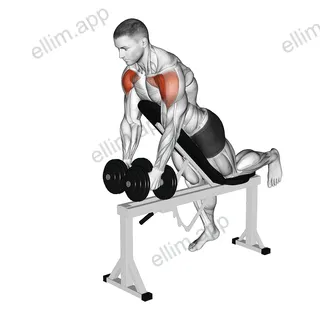 Dumbbell Incline Two Front Raise with Chest Support exercise targeting Shoulders and Deltoid Anterior