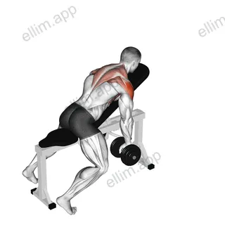 Dumbbell Incline Y-Raise exercise targeting Shoulders and Infraspinatus